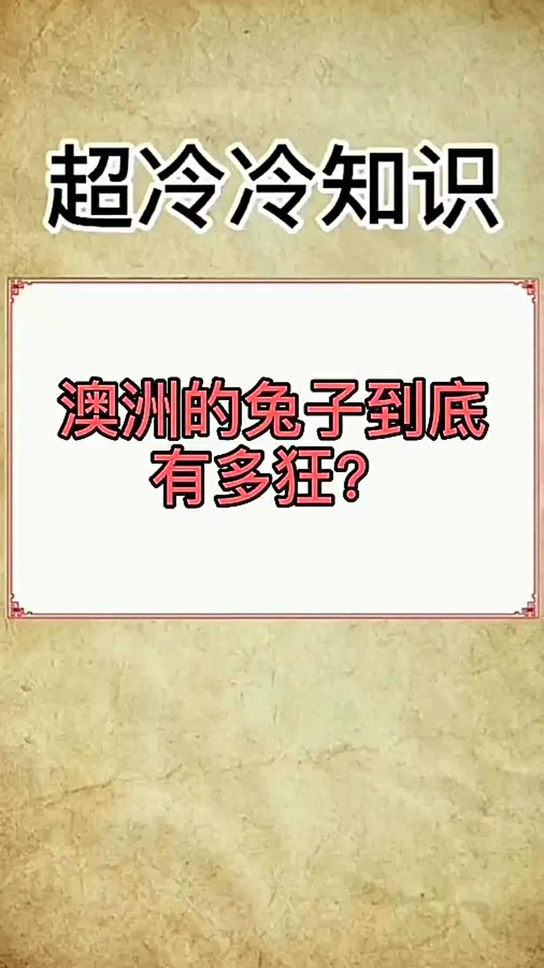 澳洲野兔氾濫成災到底有多瘋狂