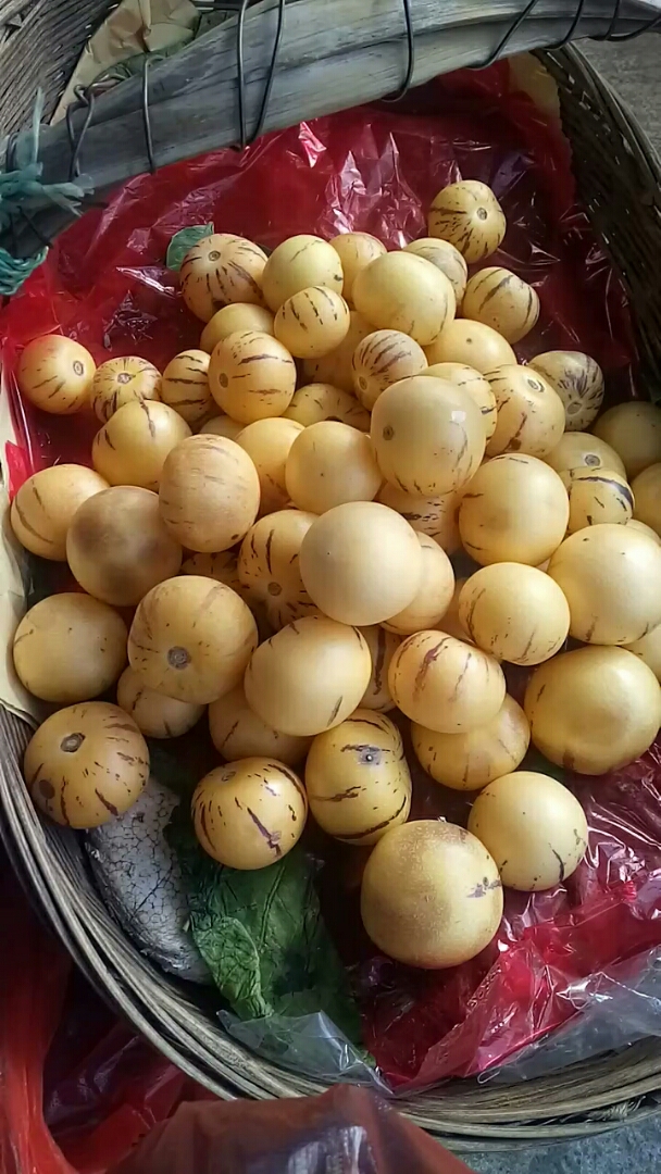 此果叫啥?求果名,定位昆明.