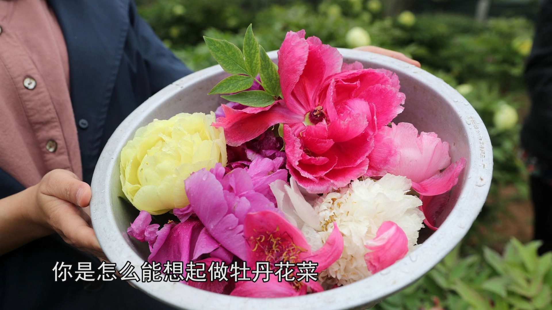 农民大妈在房屋后种了5亩牡丹花,凋谢做成牡丹花菜,1碗10元你吃过吗