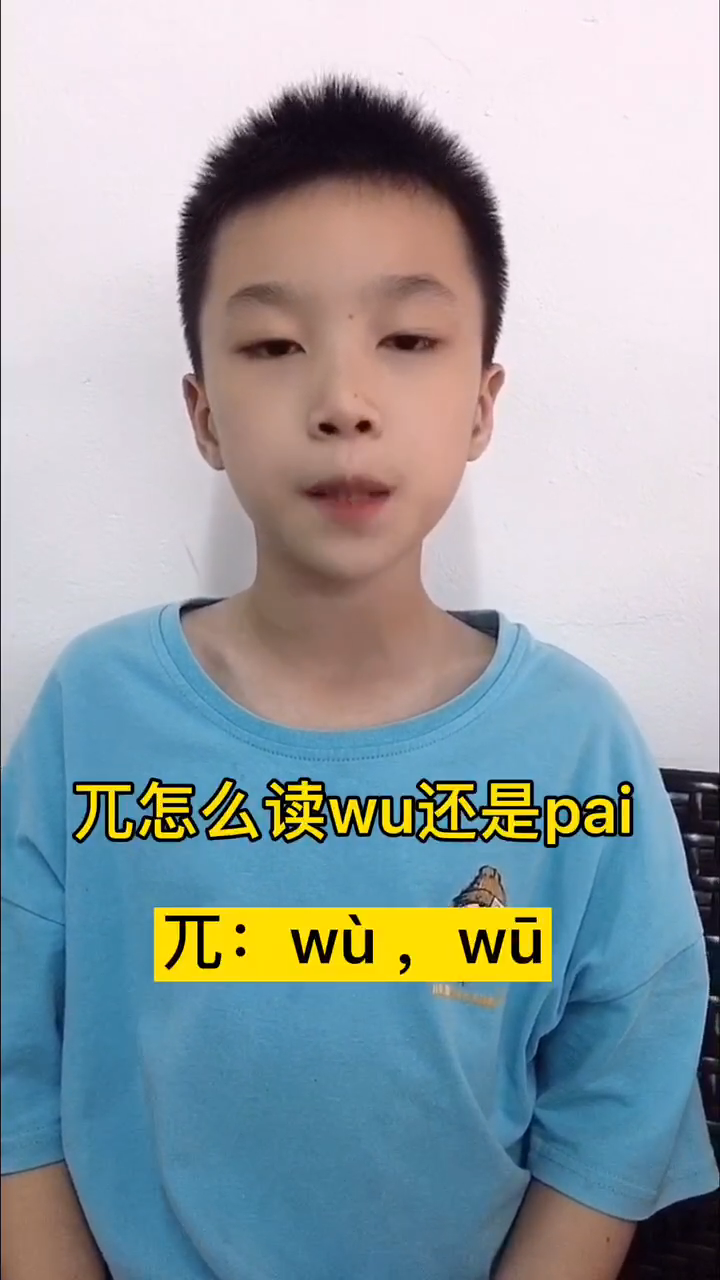 茶兀怎么读wu还是pai图片