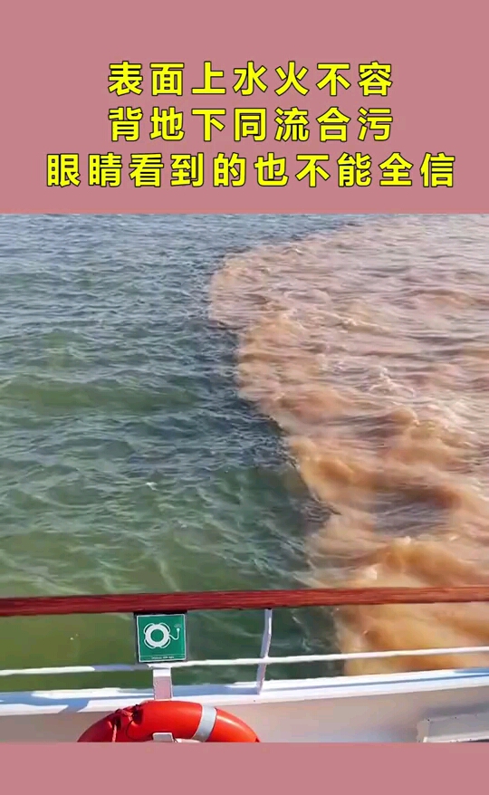 表面上水火不容背地下同流合污眼睛看到的也不能全信