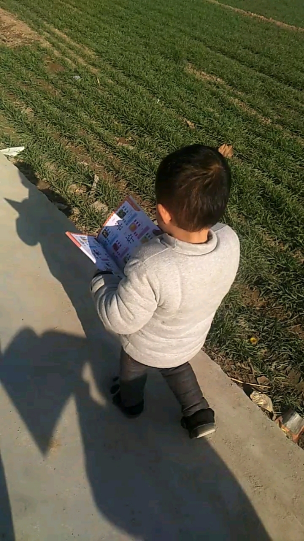 幼儿走路看书图片图片