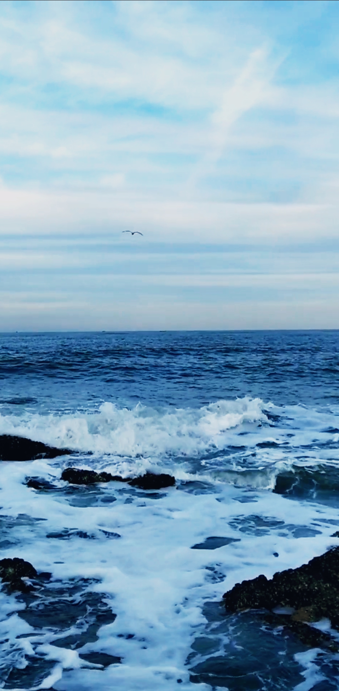 聆听大海的声音