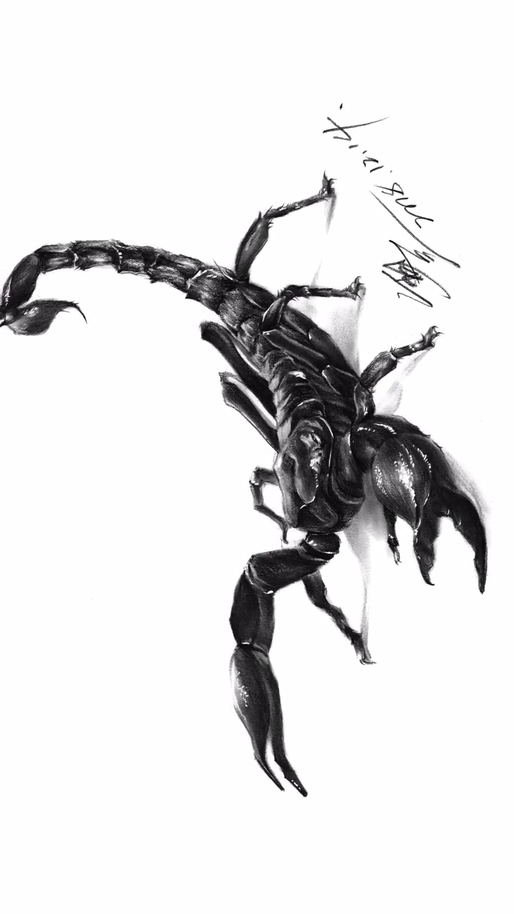 画画原来如此简单#写实素描蝎子教学-度小视