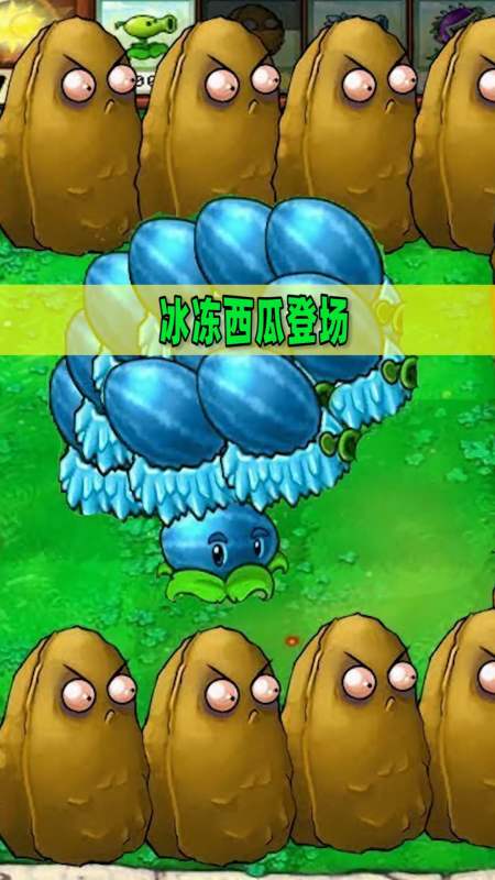 植物大战僵尸植物大战僵尸冰冻西瓜投手与高坚果墙强强联手