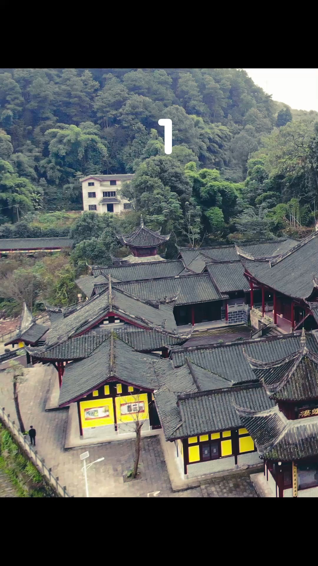 重慶最美寺廟·巴南天心寺 千年古銀杏 旅行攻略 重慶旅遊 最美寺廟