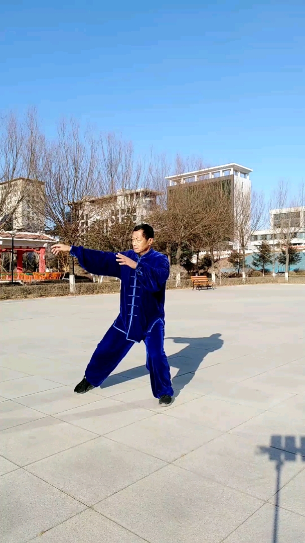 杨氏42式太极拳,提手,白鹤亮翅,楼膝拗步,撇身捶,捋挤势