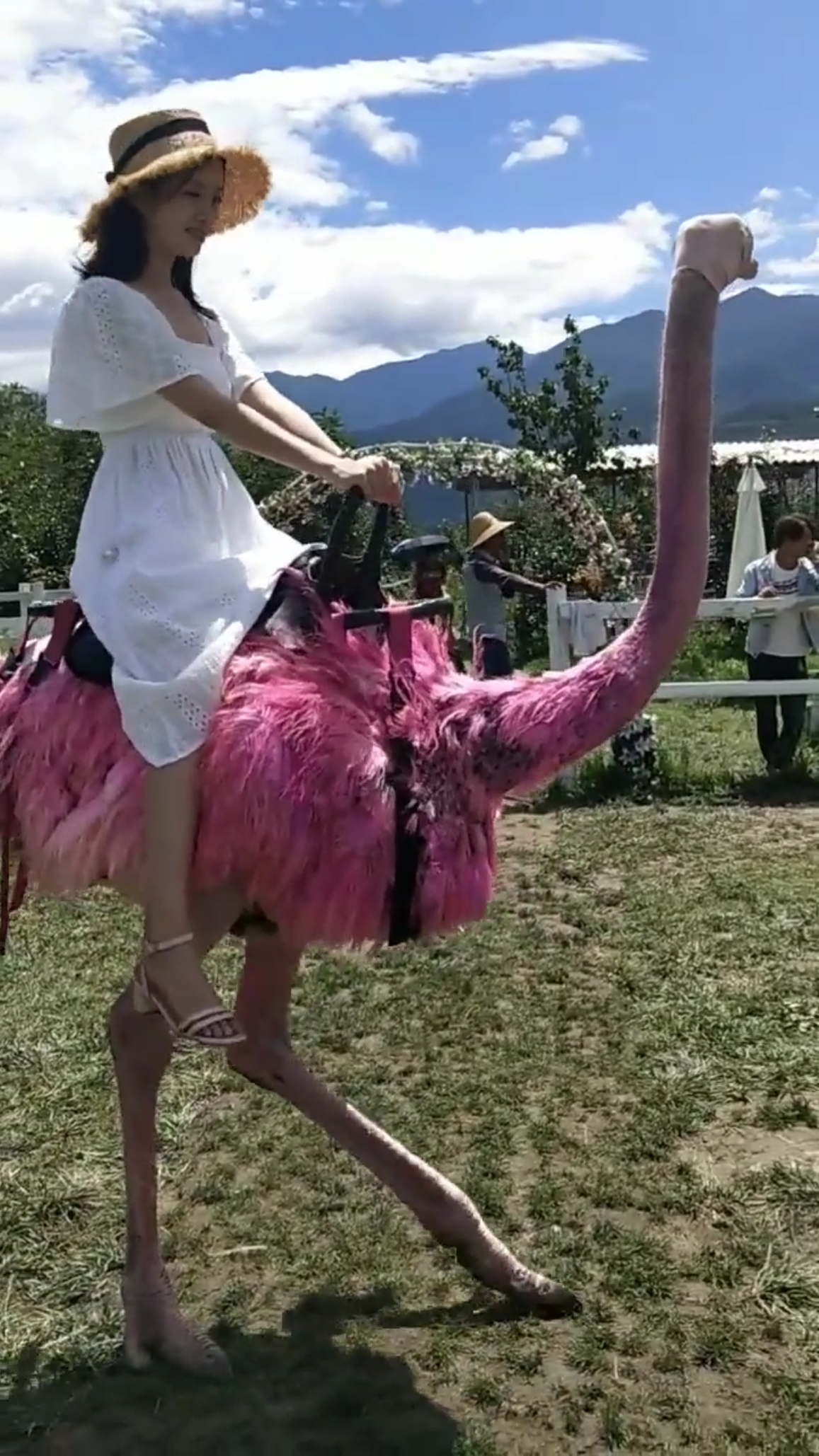 抓住夏天#美女教练教鸵鸟练习倒车