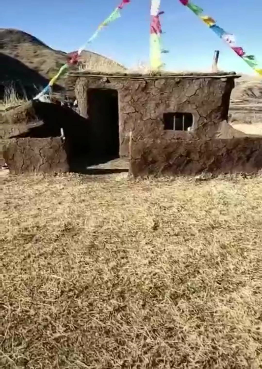 西藏旅行#牛粪做为材料建成的房子