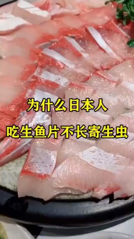 为什么日本人,吃生鱼片不长寄生虫