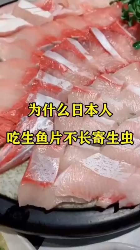 鲶鱼肉寄生虫图片大全图片