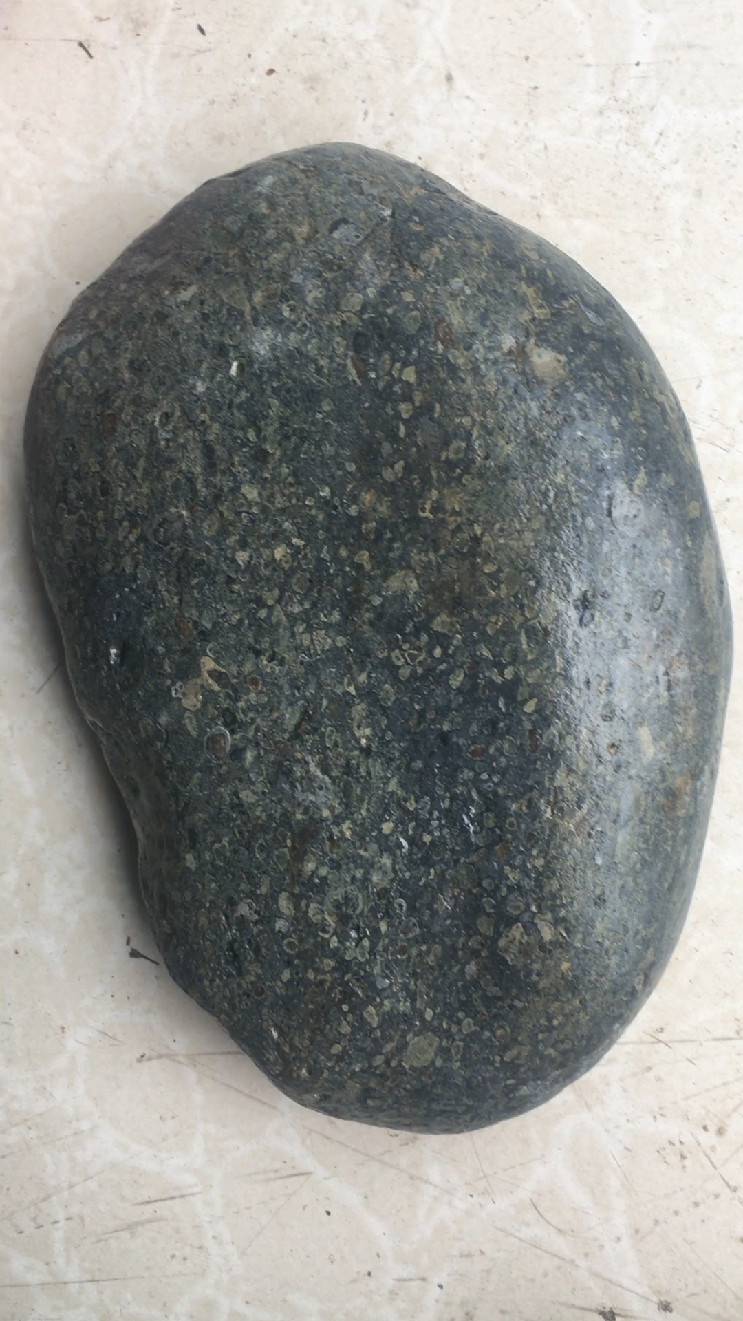 这颗球粒陨石蓝莓重17.5斤!弱磁