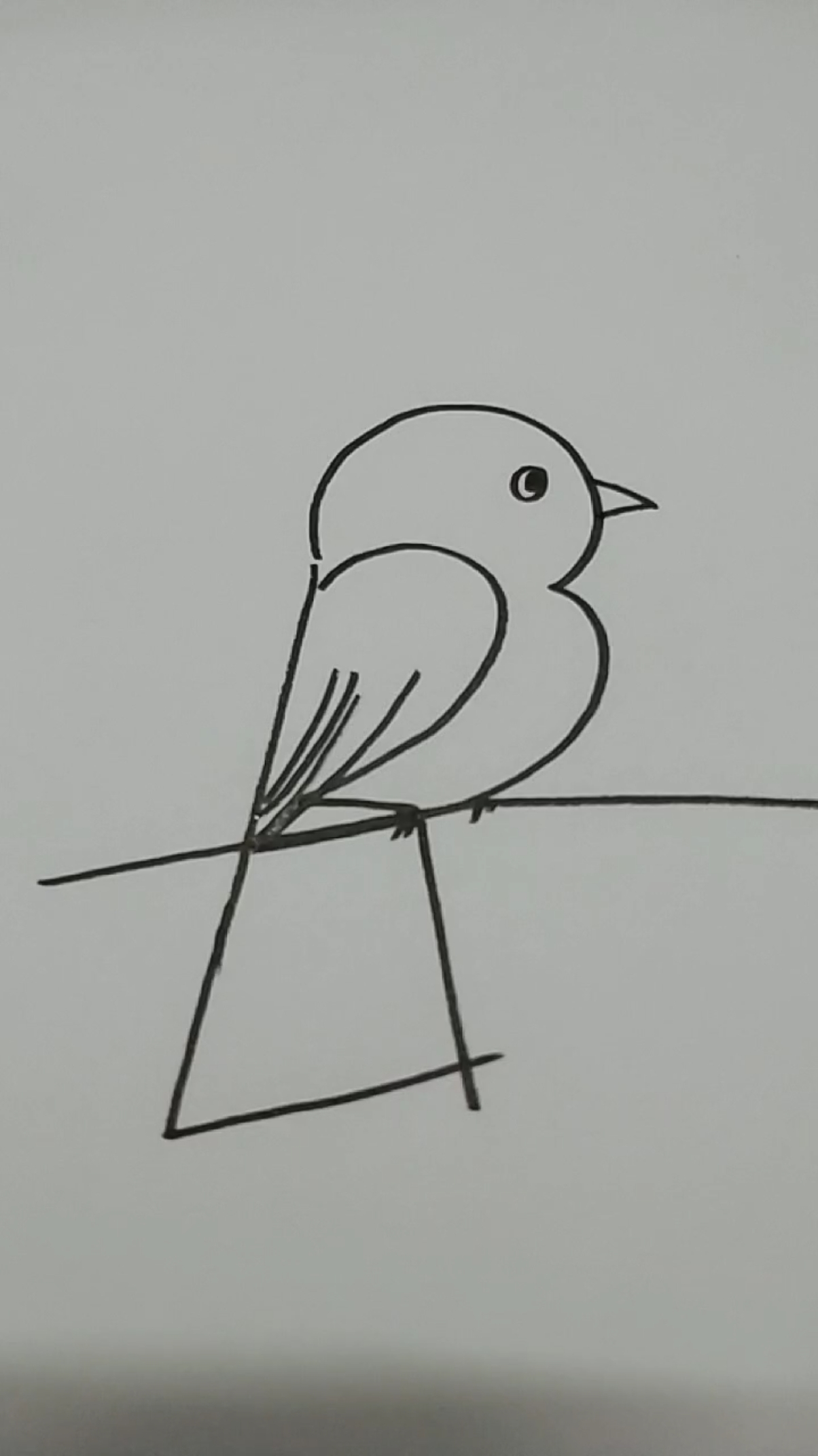 小学生画小鸟简单画法图片