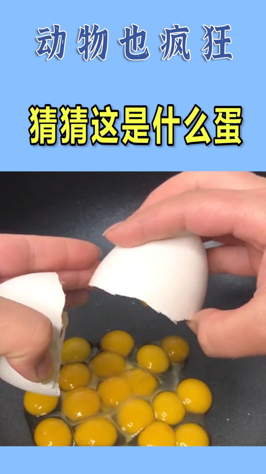 我要上热门#猜猜这是什么蛋,怎么有这么多的黄