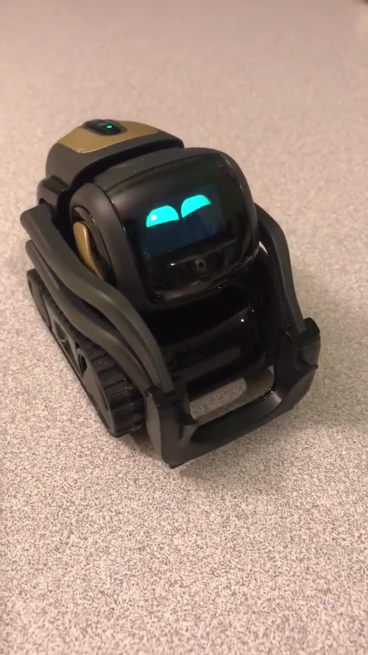 vector机器人这家伙自带喜感