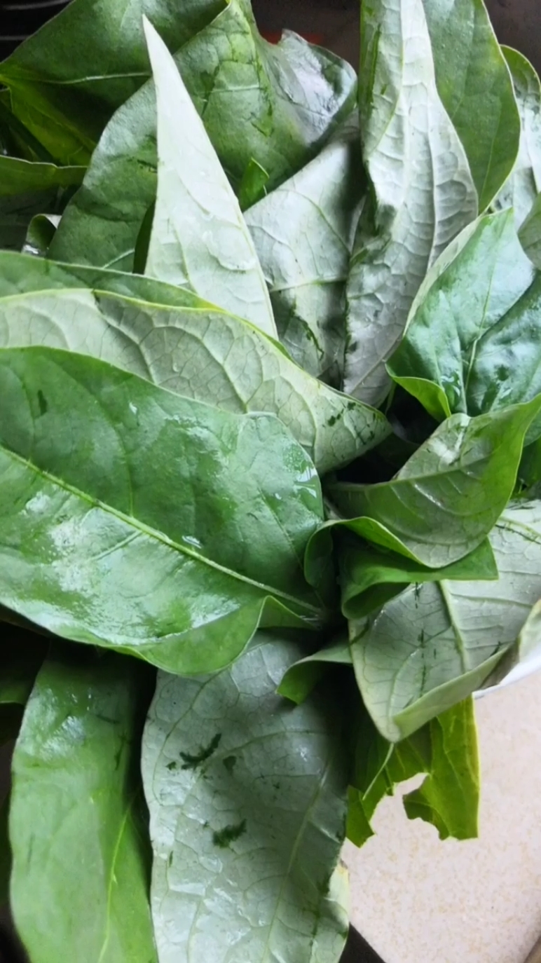 美食#卖菜的说这是豆叶,我拿来做鸡蛋汤,很清甜