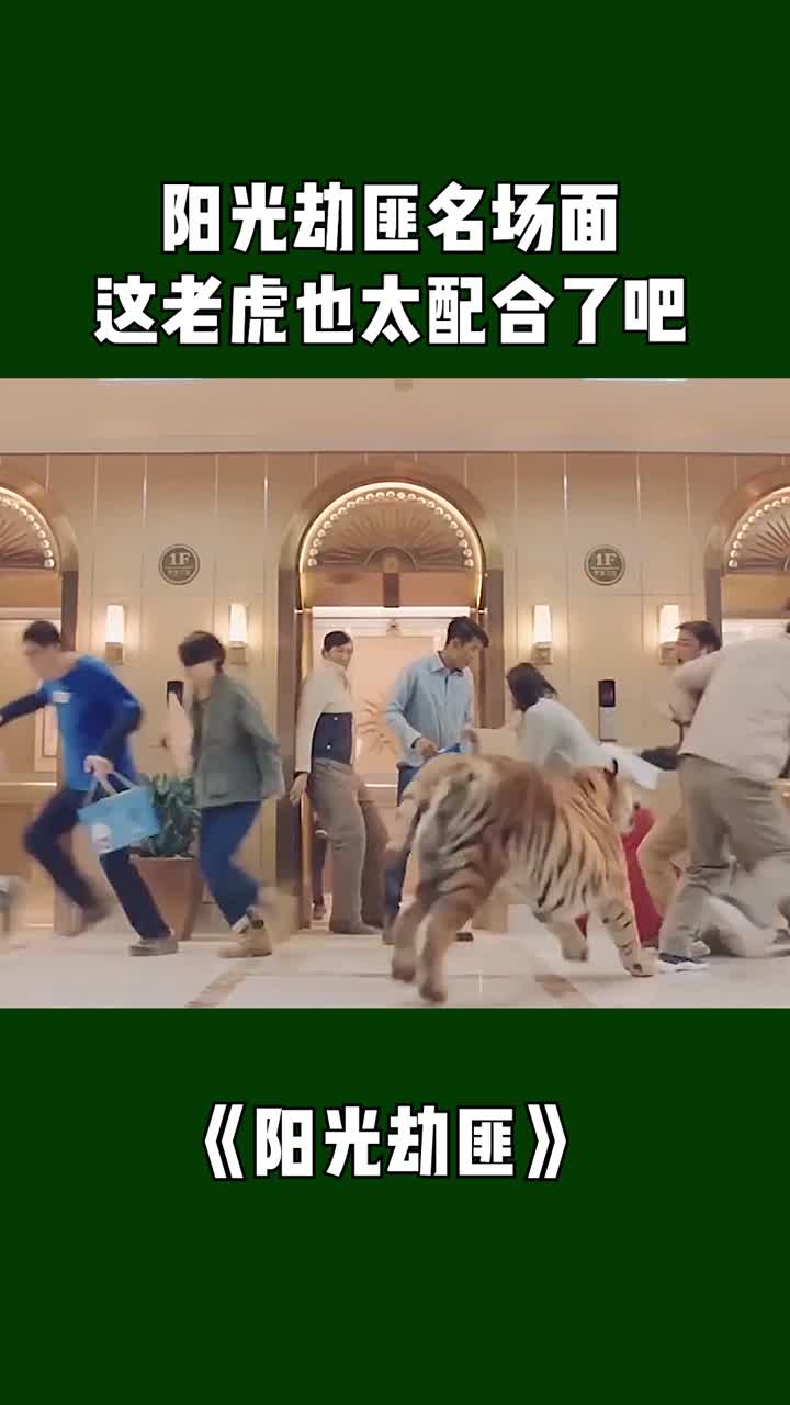 阳光劫匪名场面这老虎也太配合了吧