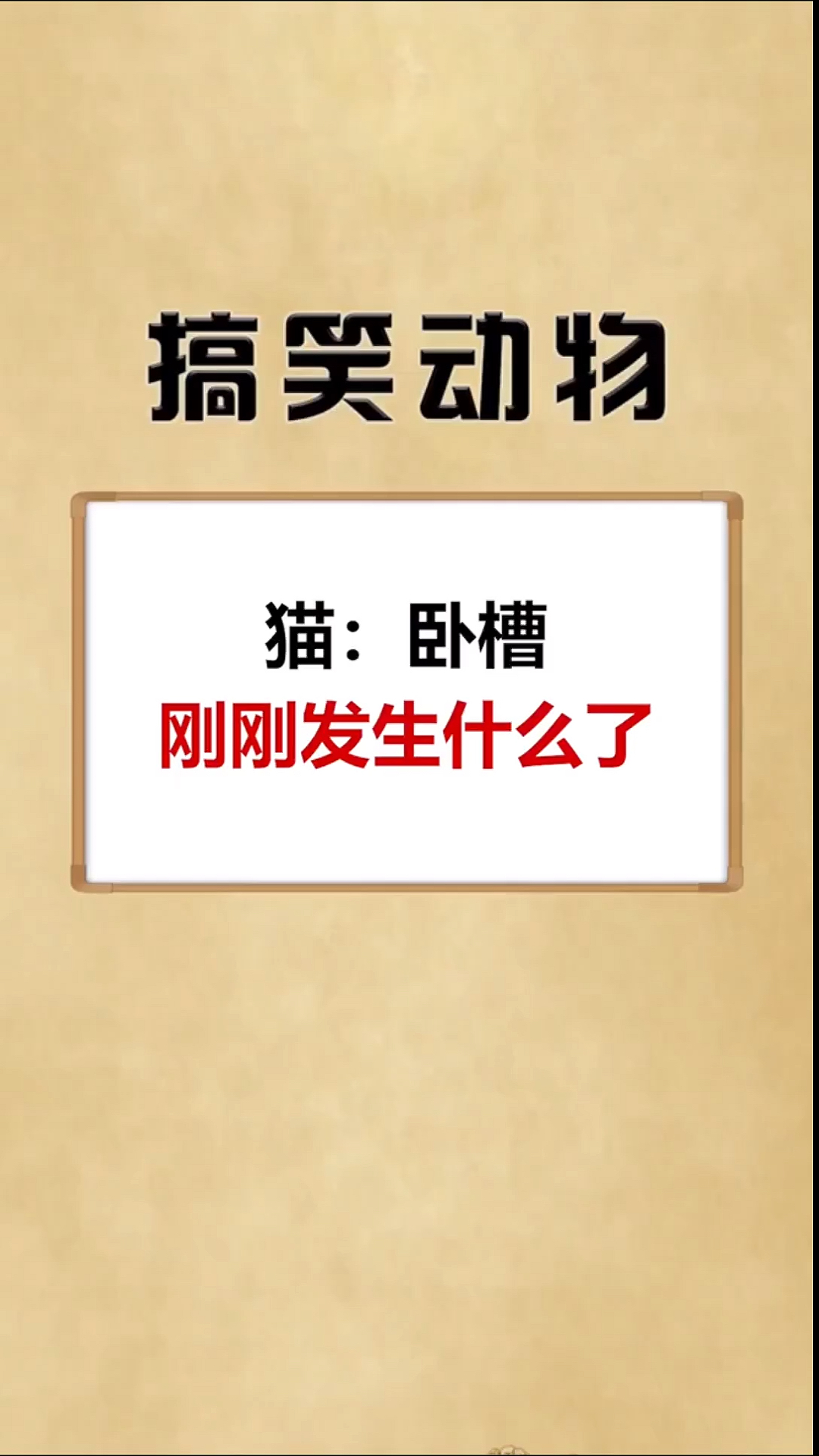 搞笑萌宠#猫:卧槽刚刚发生什么了