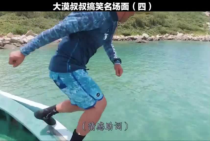 大漠叔叔搞笑名场面之就不能惯着它