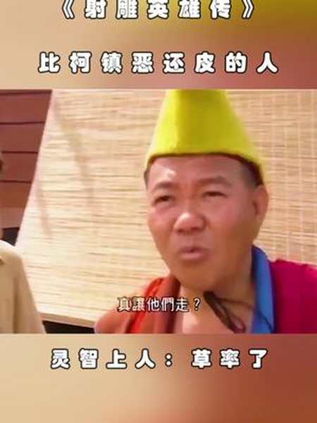 姓名:灵智上人,性别:男 ,武器:铜钹 ,武功:毒砂掌,爱好:潜泳(具体潜