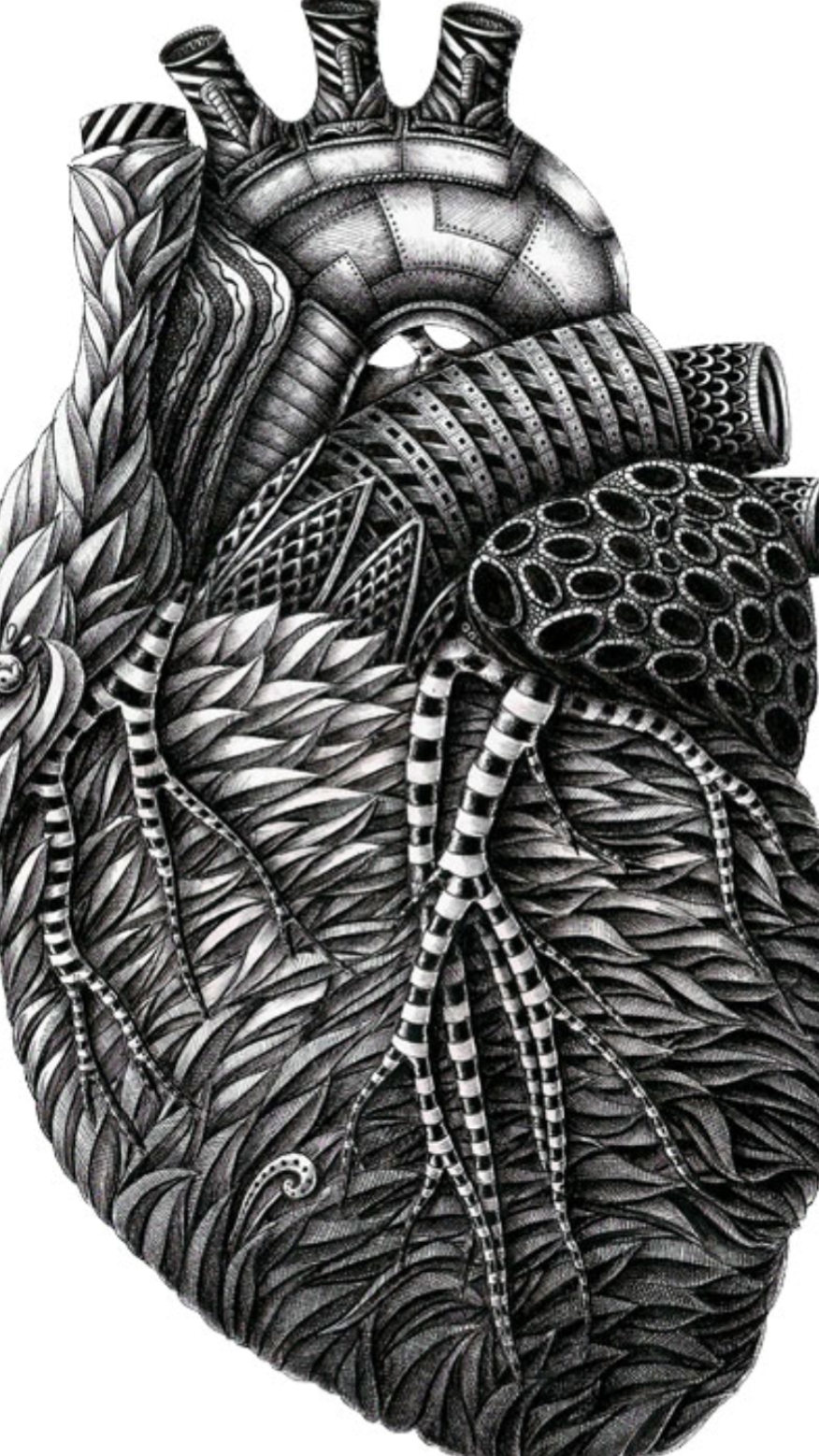 星海艺凡尘#细节控.alex konahin精细的手绘作品分享收藏鉴赏