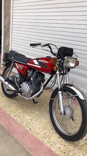 本田花猫,懂的来