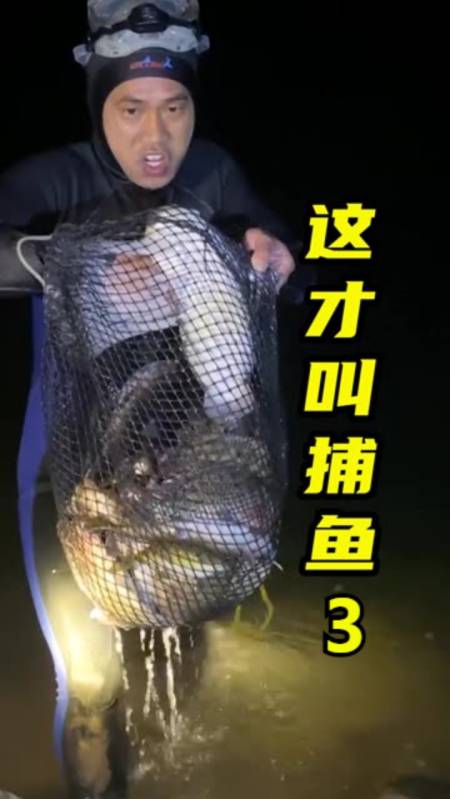 户外抓鱼#这个地方的资源太好了,河鱼泛滥潜水一小时收获几十斤(3)