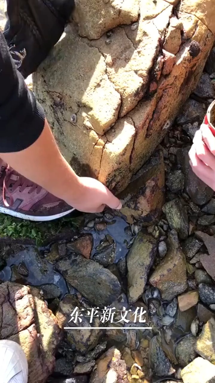 原来海边人都是这样抓螃蟹的!