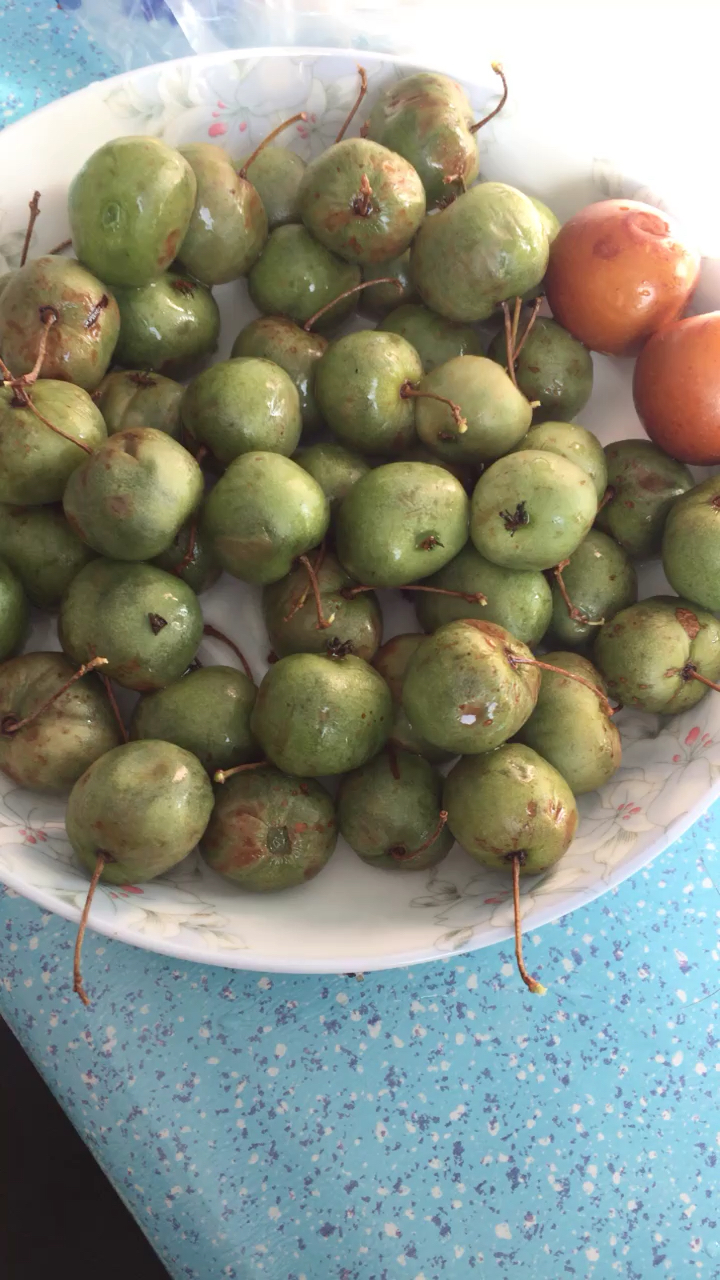 山上的野果,纯天然