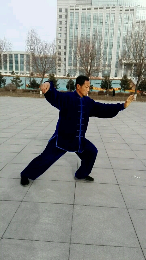 杨氏简化24式太极拳.单鞭,云手,单鞭,高探马