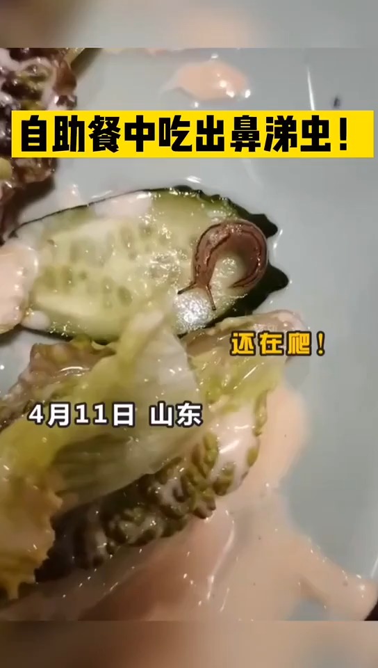 自助餐中吃出鼻涕虫,消费者要求赔偿遭到店家拒绝后双方产生肢体冲突!