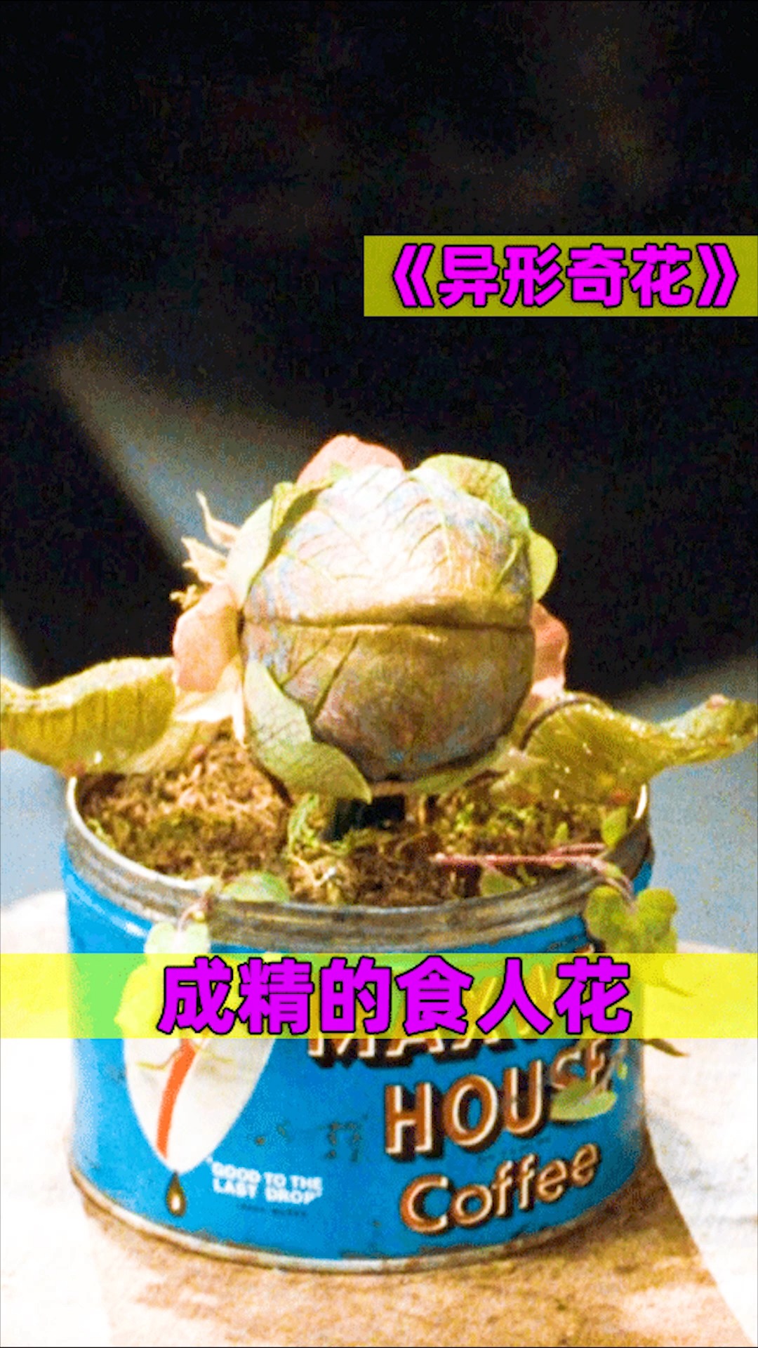 好看电影异形奇花这只食人花成精了居然吃人