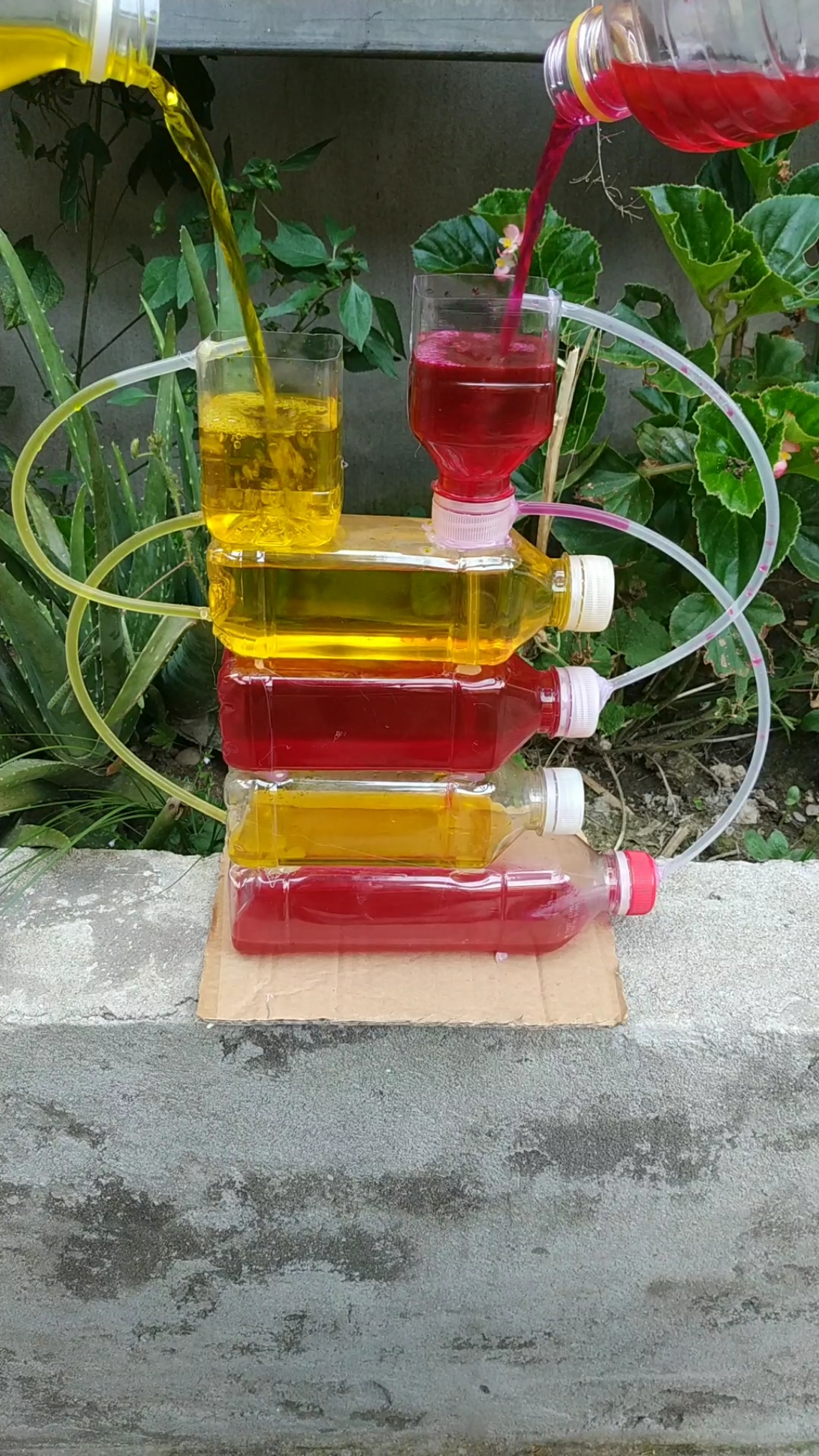 科学小实验#这个装置养鱼还是不错的!