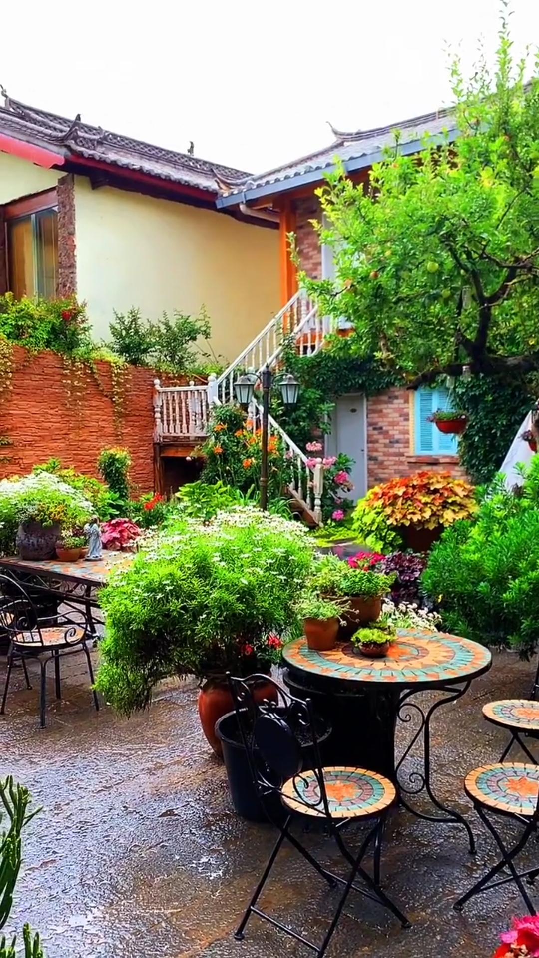 最美的画面#这院子太漂亮了