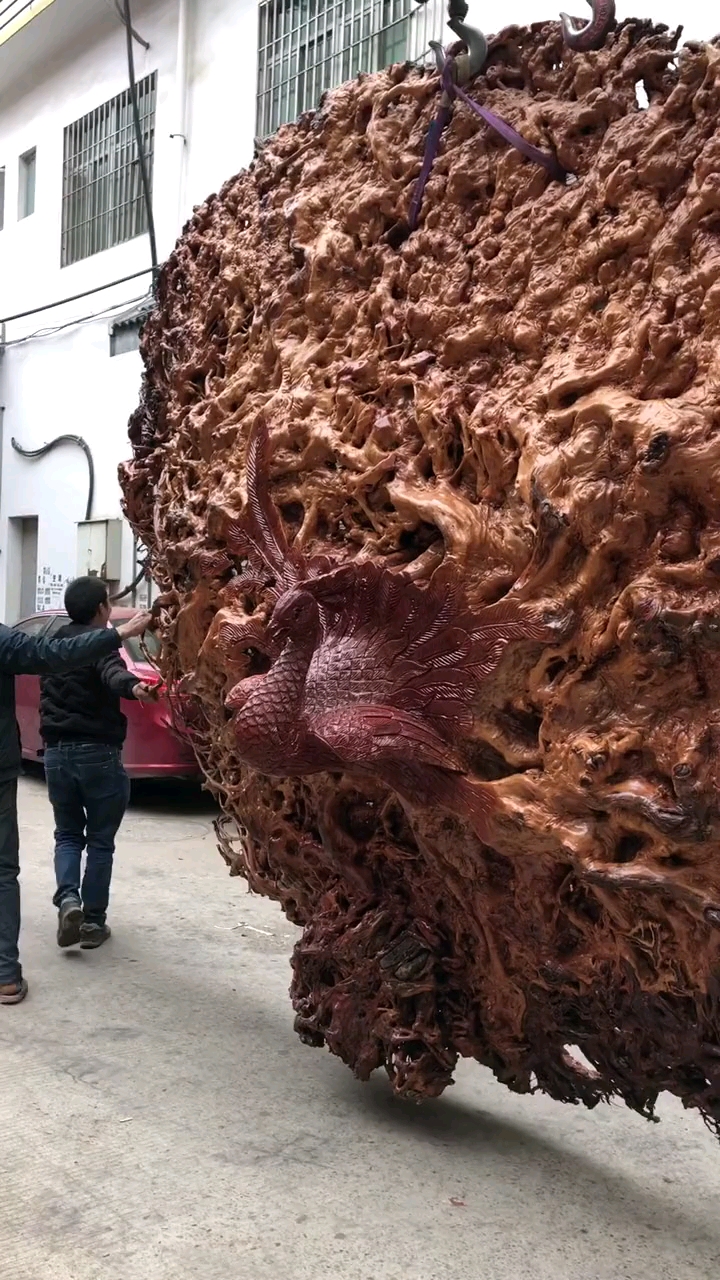 巧夺天工,千年树根雕刻,孔雀开屏.