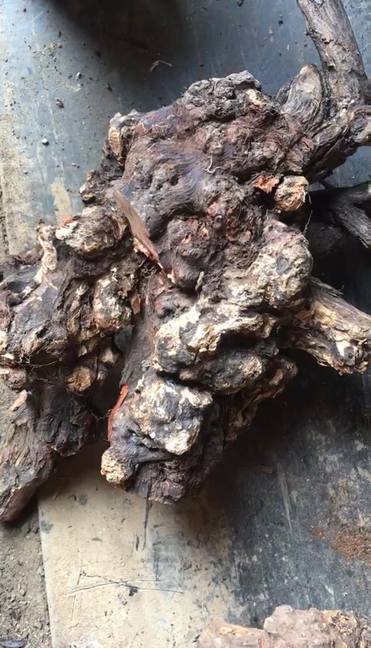 火琉璃原料大全