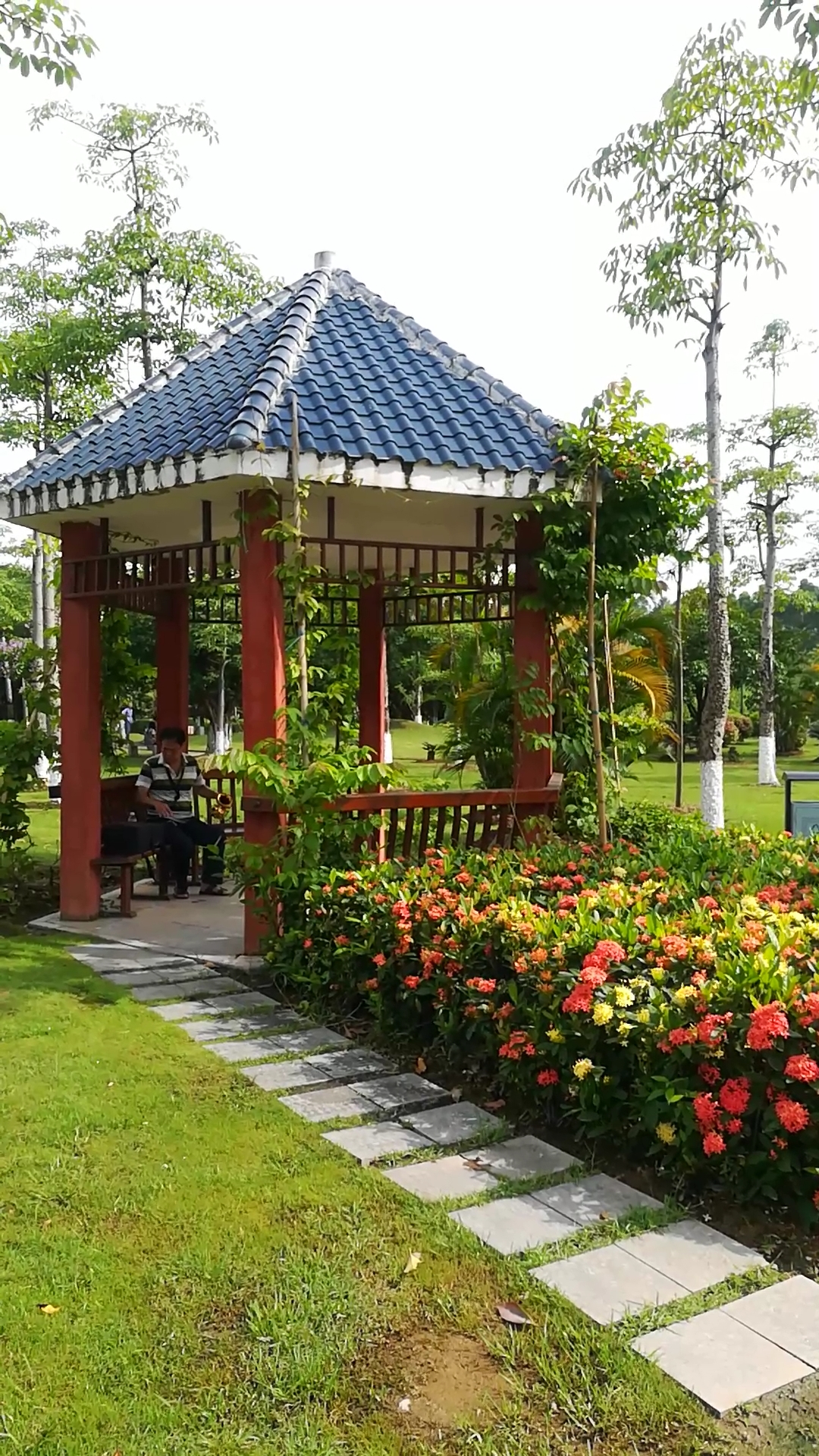 旅游进行时#公园一角……整洁,干净.