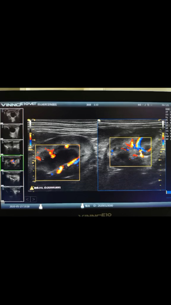 体检套餐:爱德士五分类血常规(160次)sdma