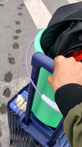 宝龙电子厂,挑战失败,提桶跑路