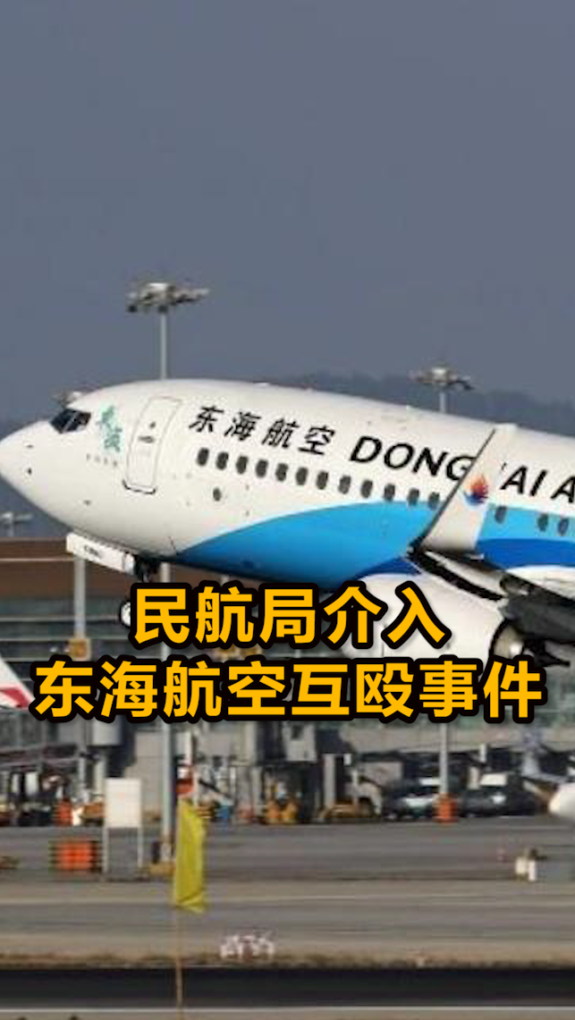 东海航空机长与乘务长飞行途中互殴民航局通报来了