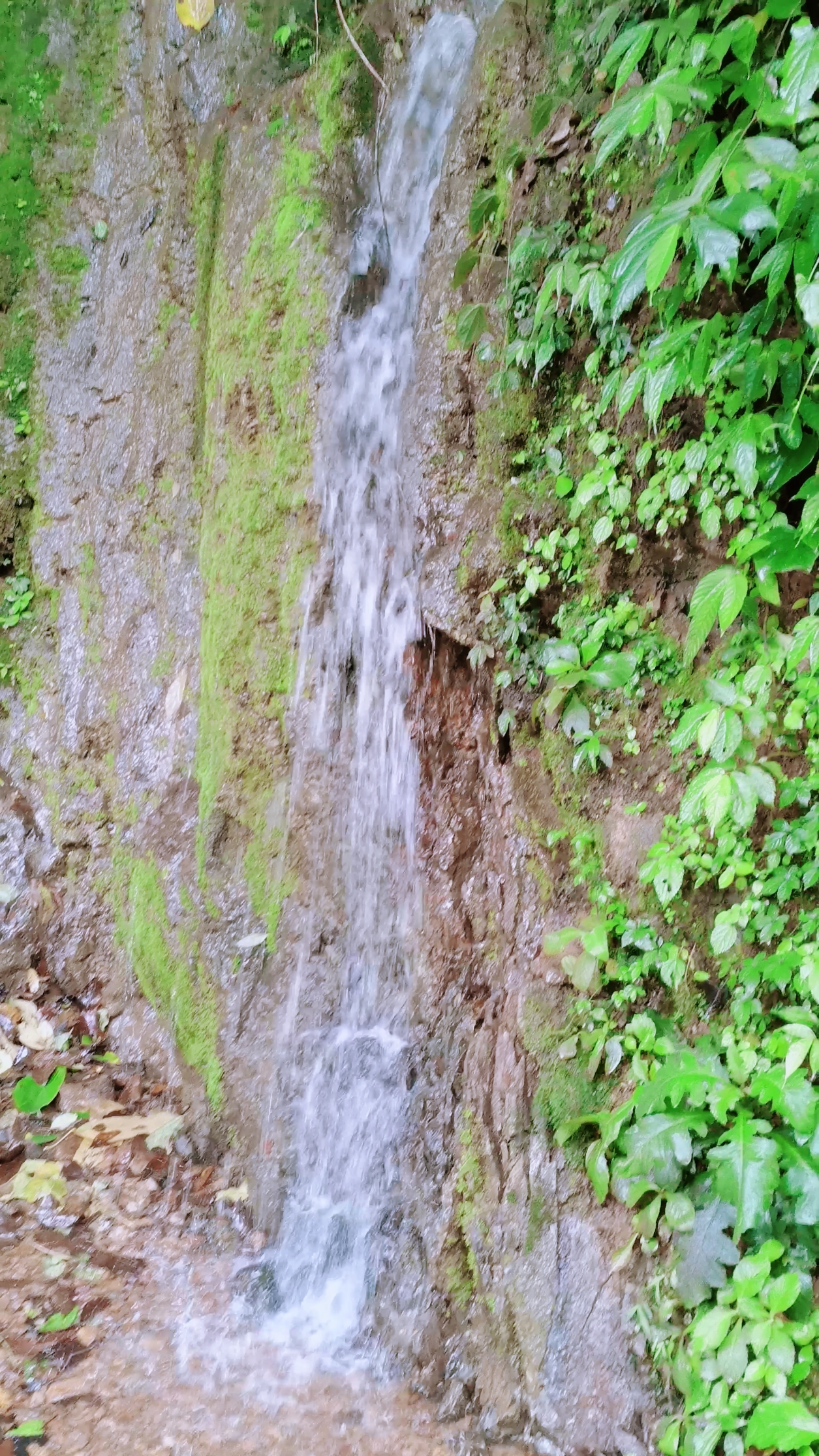 避暑好去处#一股清泉,一抹清凉