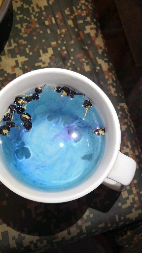优秀如我#黑枸杞泡茶由深紫色变监的一瞬间