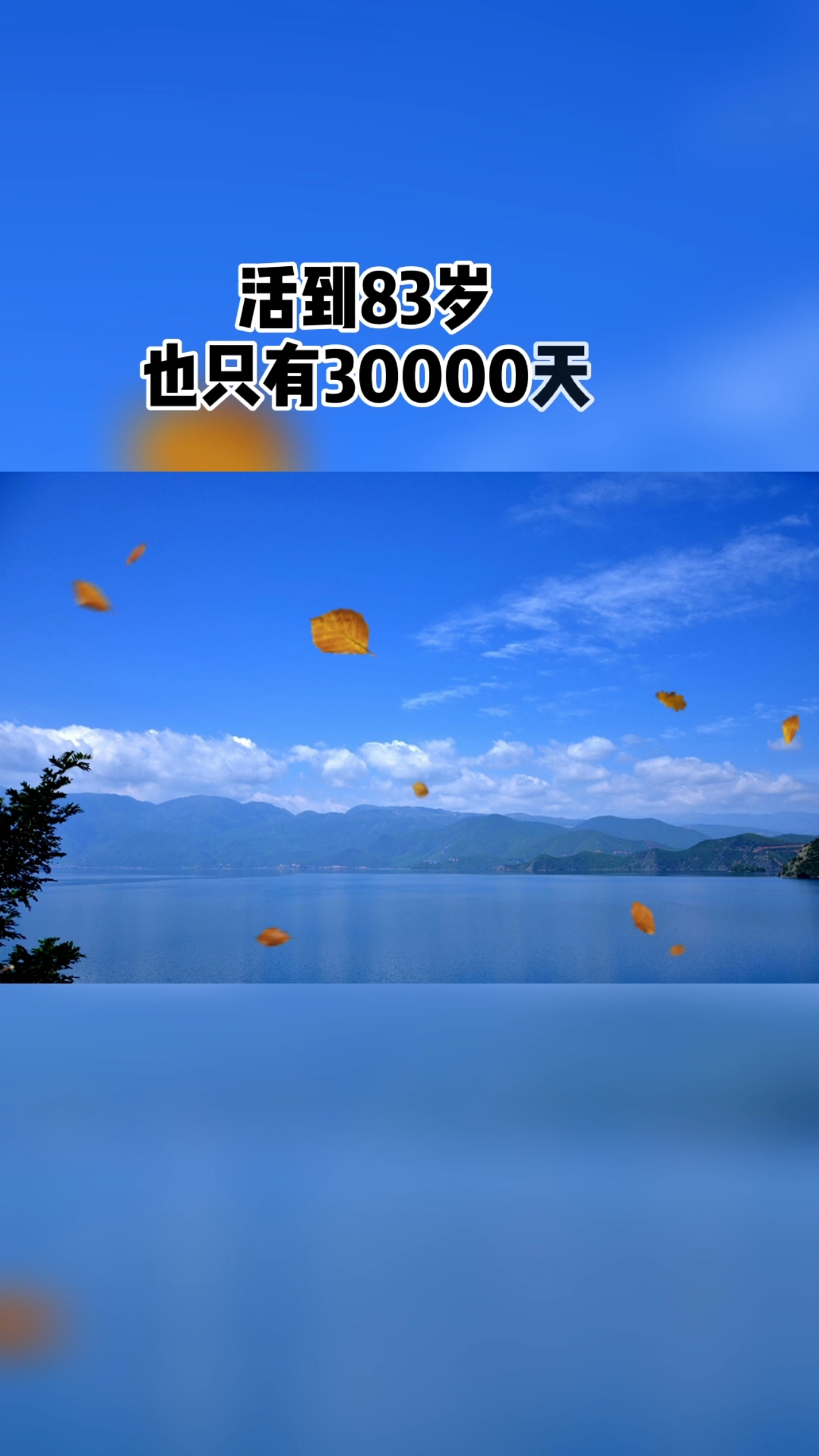 一辈子不长,且行珍惜