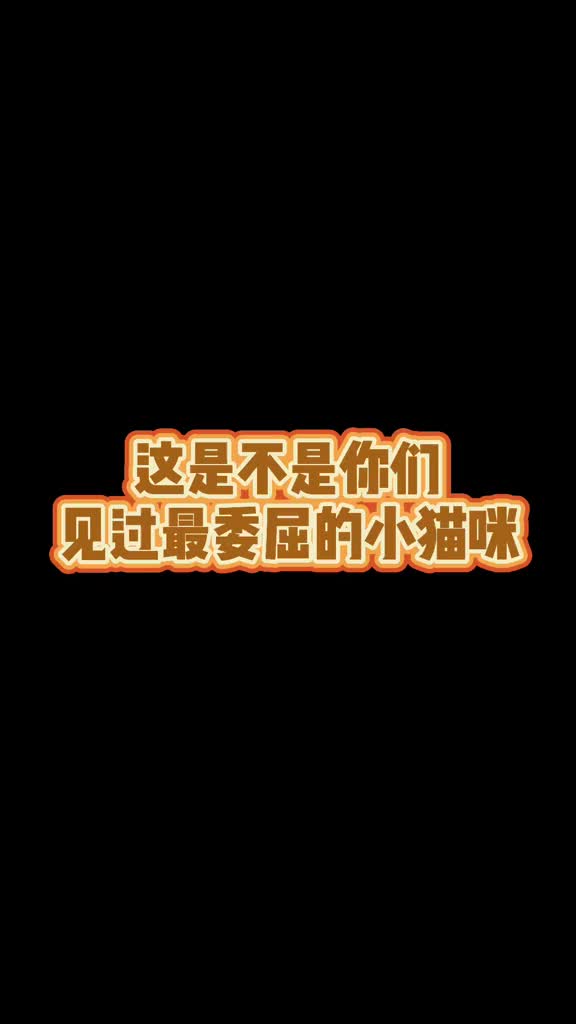 我要上热门挑战全网最委屈的小猫咪这可怜巴巴的小眼神