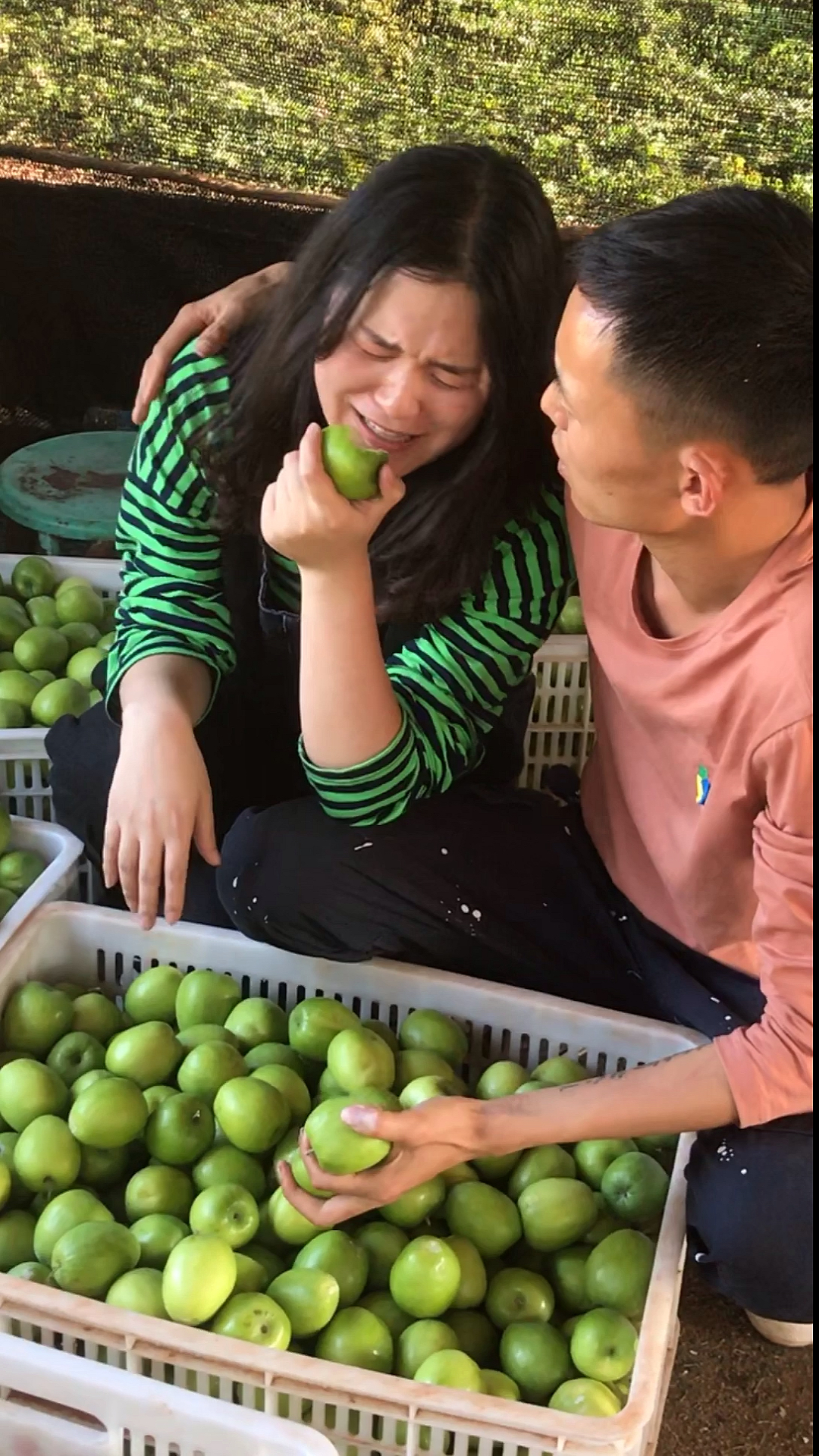 多吃水果健健康康#是什么原因让果农哭成这样