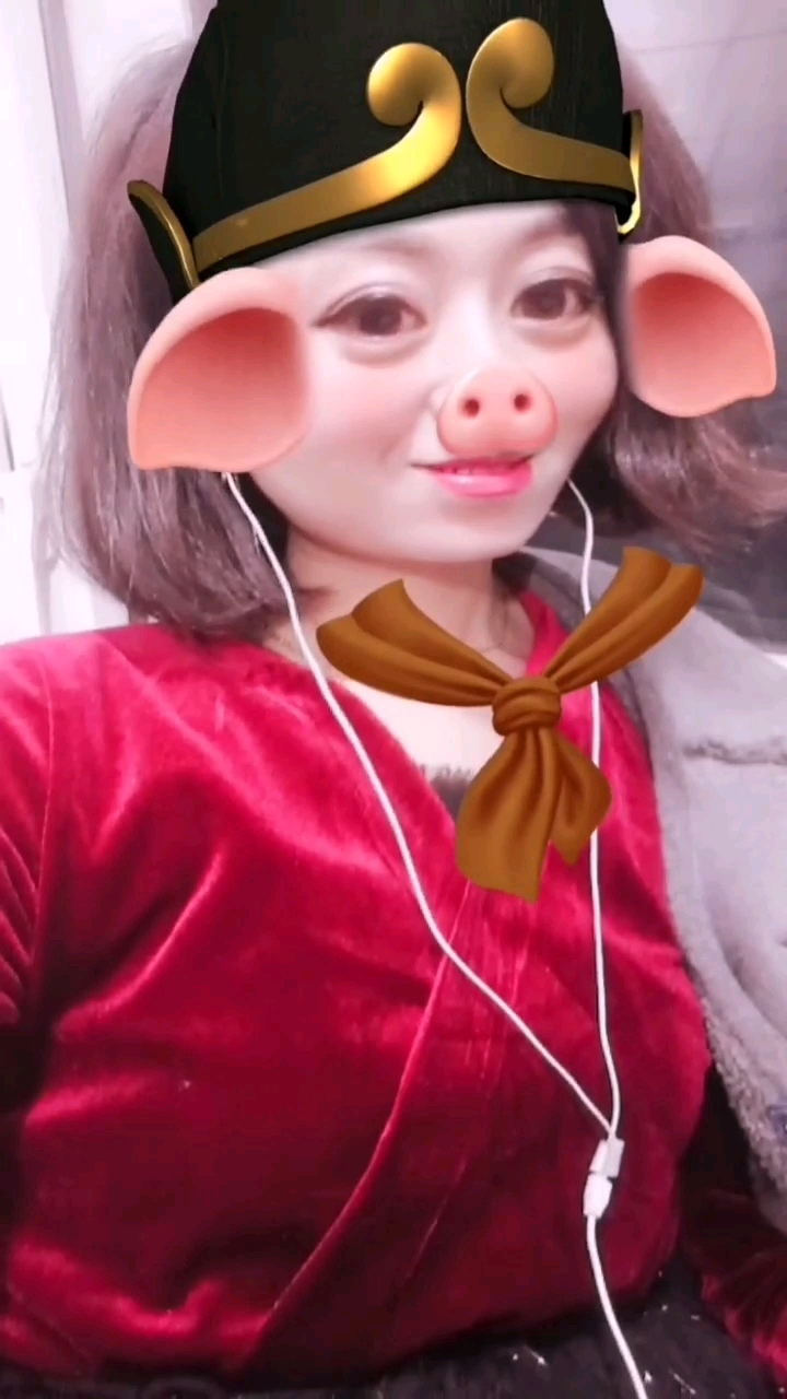 我是女版猪八戒