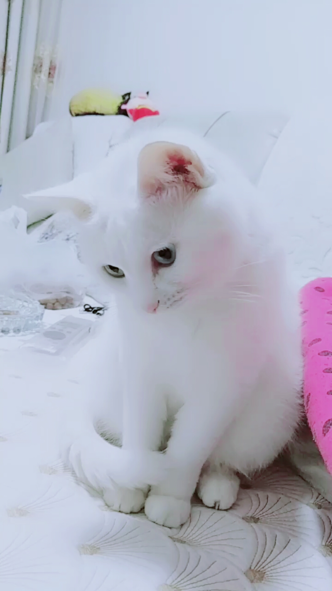 我是白喵喵#大姑娘,你也没认真洗脸呀