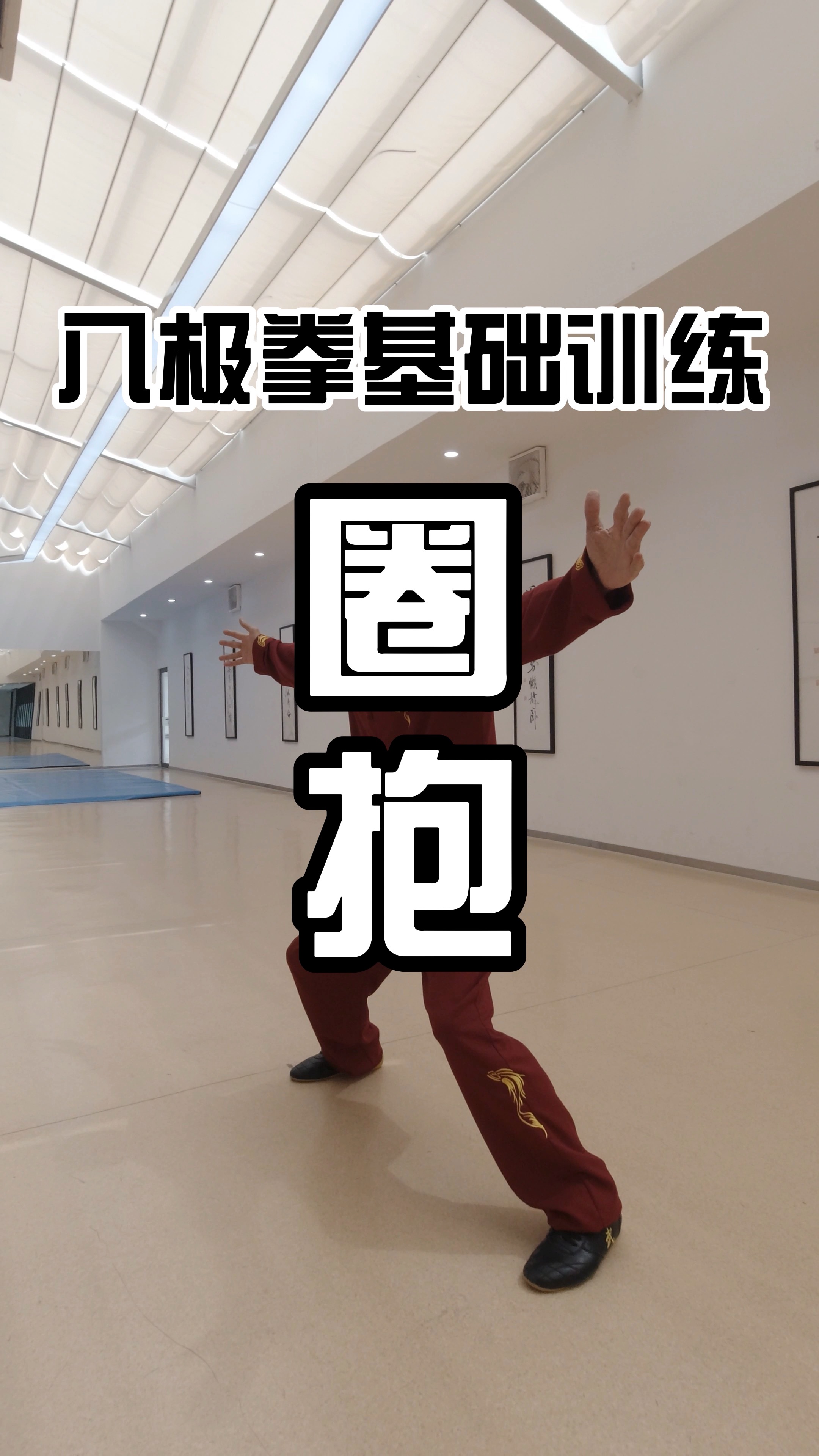 中华武术八极拳基础训练教学圈抱