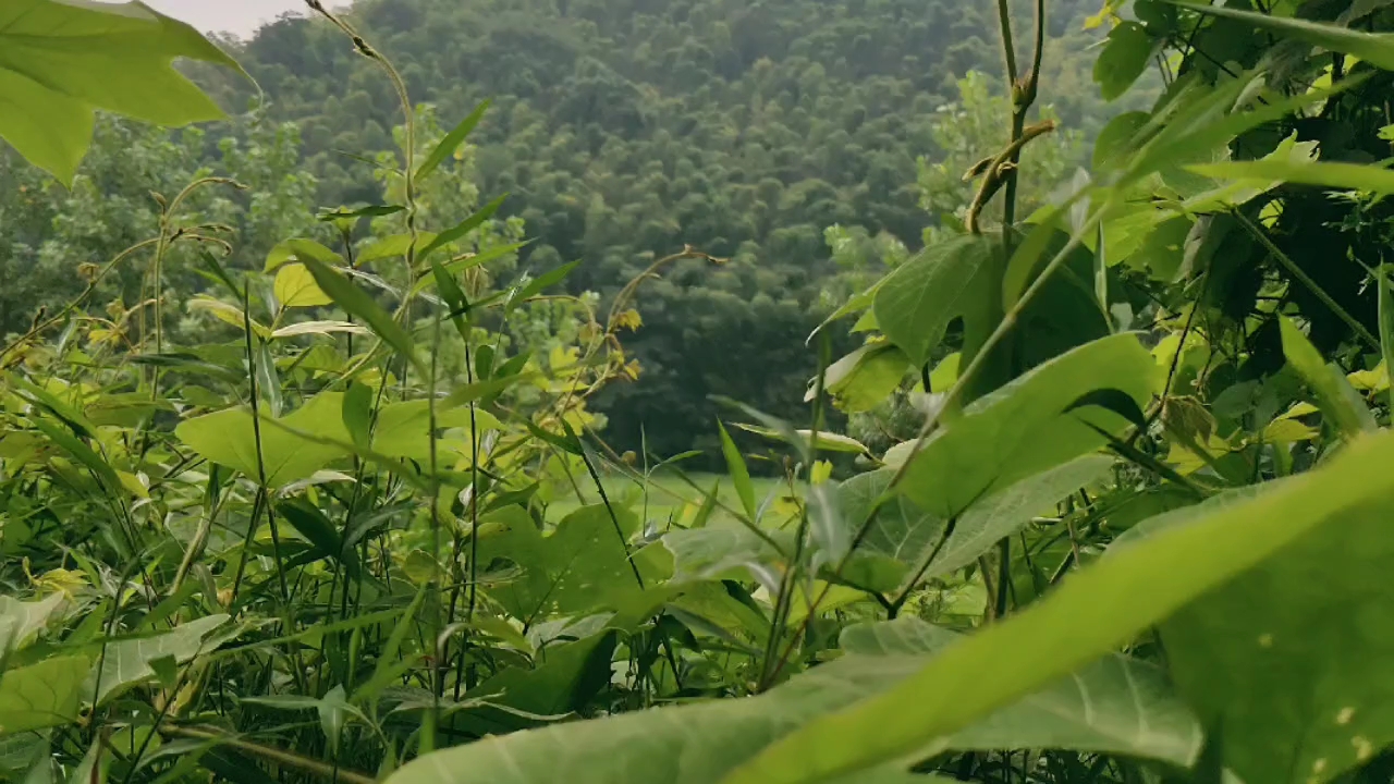 百度沸點音樂會#在這樣地方唱歌怎麼樣