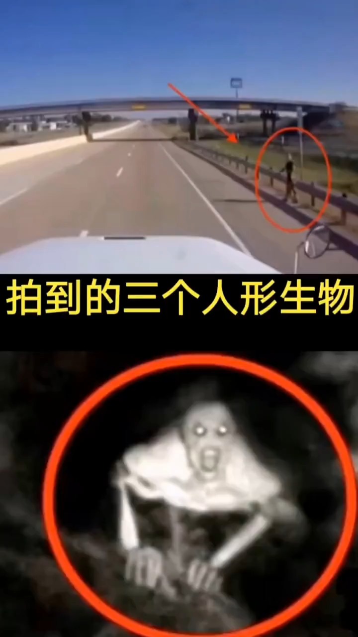 奇闻趣事抢先看拍到的三个人形生物